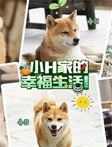 蓝皮鼠和大脸猫第二部