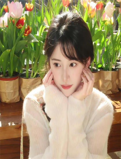 从表演艺术看探秘猫王家族：航拍的大场面与宏观视角 认识表演艺术的价值